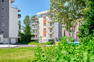 Pronájem bytu 1+KK Nová Role Karlovarsko