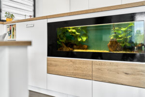 Zabudované akvárium unikátního domu 5+KK o velikosti 141 m2 ve Všeborovicích u Karlových Varů, se zahradou. NA PRODEJ!