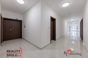 Společná chodba, součástí je sklep - Pronájem bytu 2+KK v rezidenci Růžák v Karlových Varech