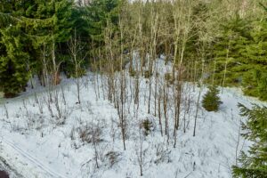 Nabízíme k prodeji rekreační pozemek o výměře 548 m² v oblíbené lokalitě Rovnost u města Jáchymov – v místě, které má silnou atmosféru, historii a jedinečný horský charakter.